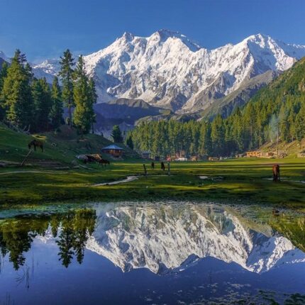 Nanga Parbat Base Camp Trek